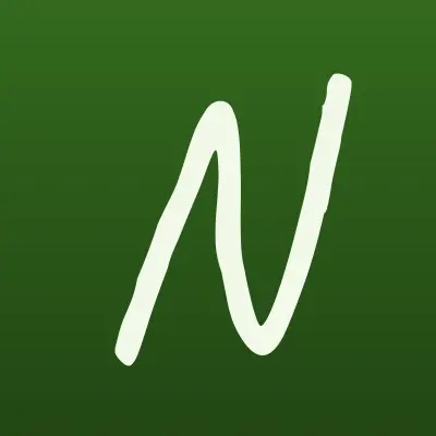 Новый Стимул